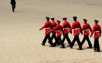 Trooping the Colour, 2010